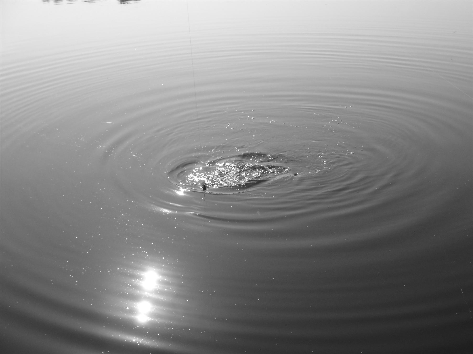 Moara Vlasiei 2 23 - 24 iun. - dsc00768.JPG